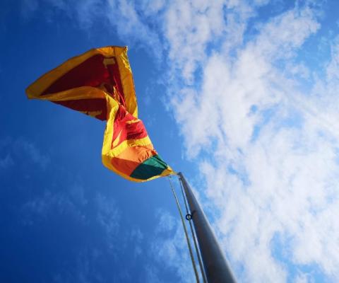 (Credit: Mariana Proenca / Unsplash)