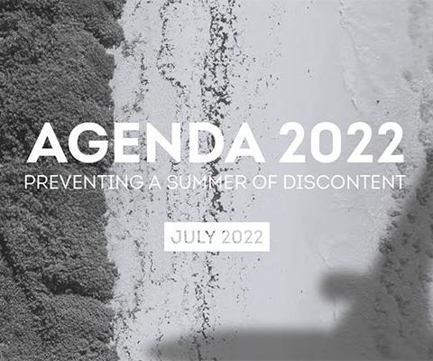 Agenda22report.jpg