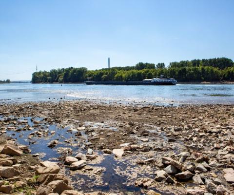 The Rhine (pictured in 2018) has been particularly affected (Credit: iStock)