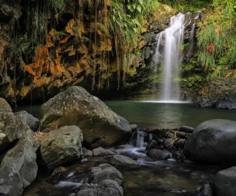 It is the first time Grenada has been included in Kuoni's Caribbean programme since 2019