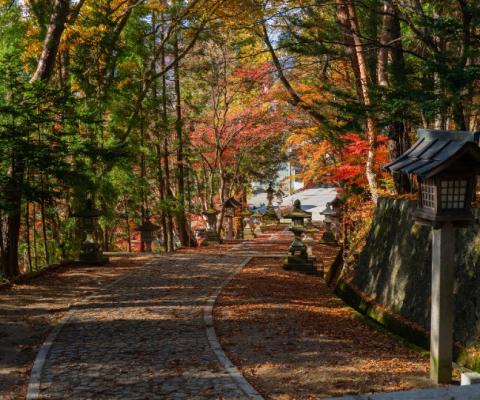 The easing comes just in time for Japan's autumn season (Credit: Lucas Calloch / Unsplash)