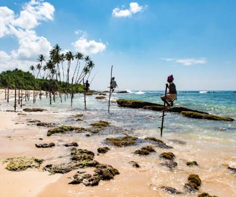 Mirissa Beach in Sri Lanka. Credit: Daniel Klein on Unsplash