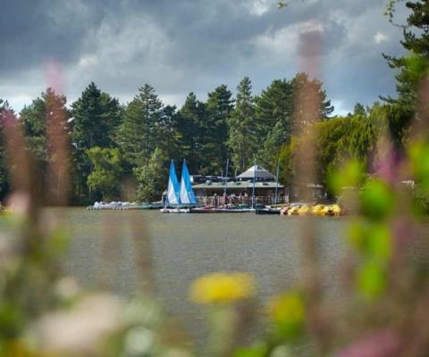 Center Parcs Sherwood Forest (Credit: Center Parcs)
