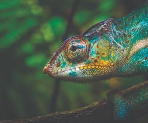 10 ways to promote sustainability in your marketing