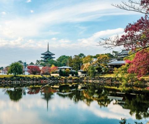 (Credit: Jo Sorgenfri / Unsplash)