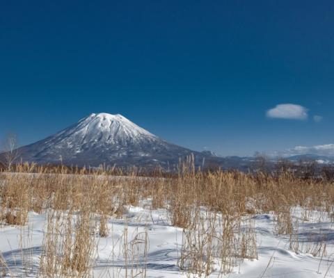 Crystal is offering Japan for the first time this winter (Credit: Marek Okon / Unsplash)