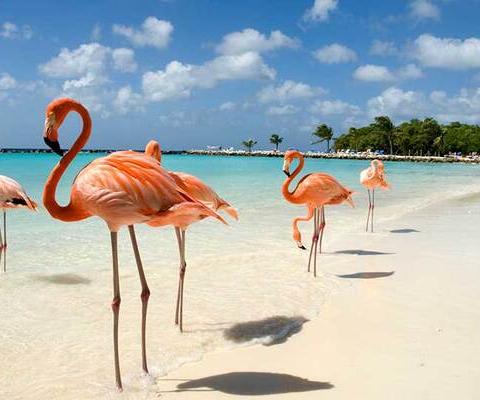 Aruba-iStock-170618386_METhumb.jpg