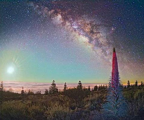Observacion-de-estrellas-tajinaste-Parque-nacional-del-Teide_METhumb.jpg