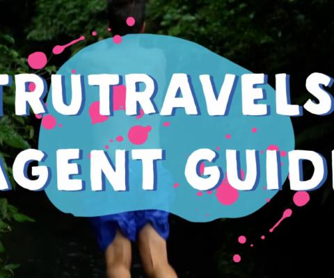 TruTravels_webinar.jpg
