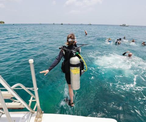 Grenada's Dive and Conservation Festival marries world-class diving with sustainably-themed workshops