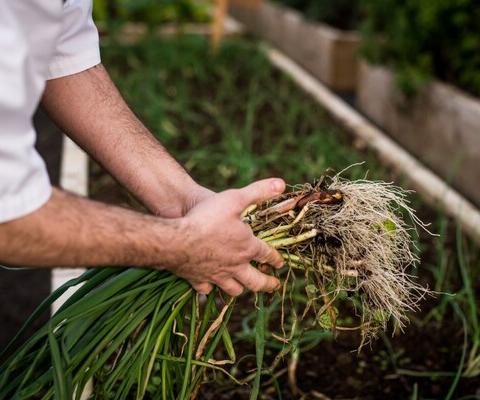 (Credit: The Travel Corporation / Julia Dunin Photography)