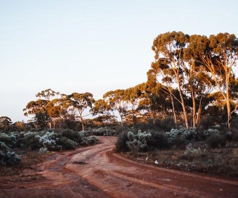 Bushfires trigger Australia's first emergency fire warning for two years