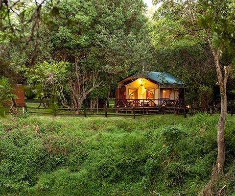 A Deluxe Tent at the Fairmont Mara Safari Club