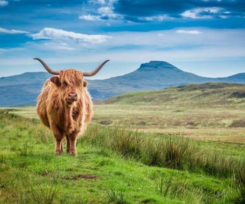 Home comforts: Could the cost of living squeeze drive a fresh staycation boom?