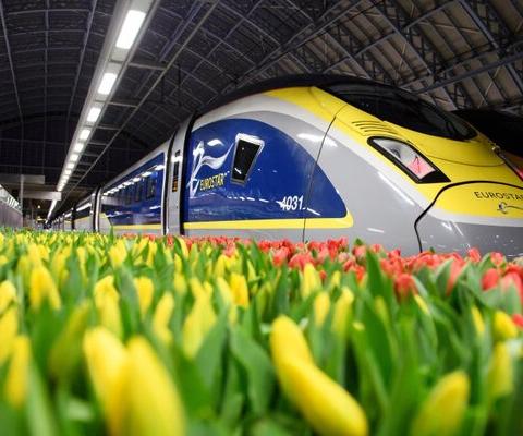 Eurostar London Netherlands April 2023 Eurostar_Platform_Tulips_2.jpg