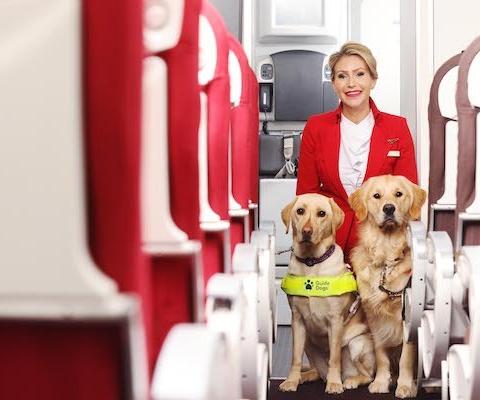 PinPep_VirginAtlantic_GuideDogs_002.JPG
