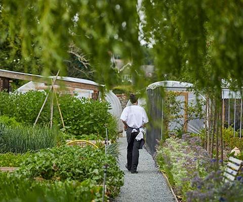 Kitchen gardens feature across The Pig's eight-strong portfolio