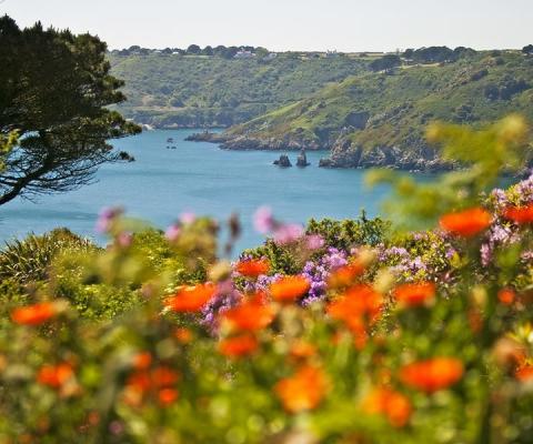 Guernsey south coast