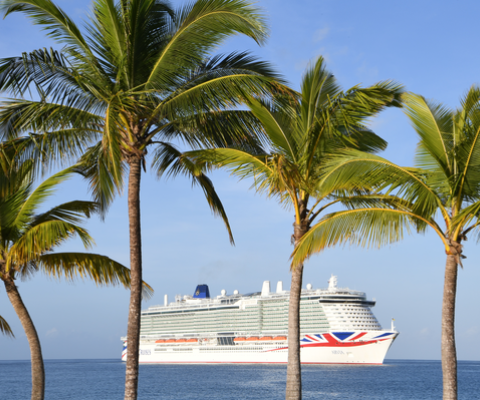 Use the Shine Rewards Club asset bank to access images of the line's fleet 