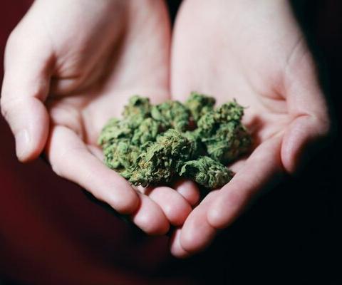 Should cannabis tourism be high on agents' agenda?