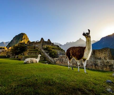 Peru is back, but what exactly has been going on there?