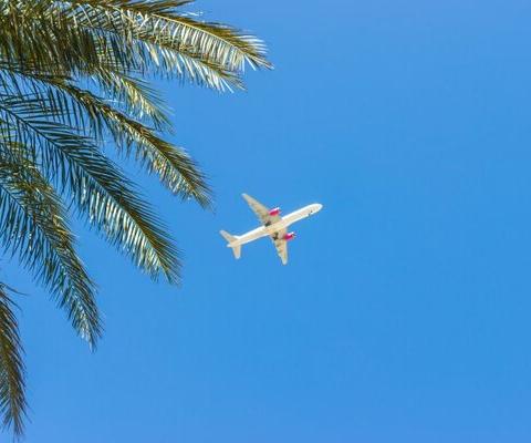 On the Beach making headway in premium and long-haul segments