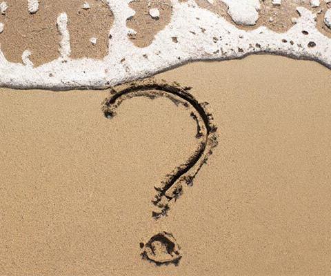 The essential insights you need to plan for peaks and get ahead in 2024