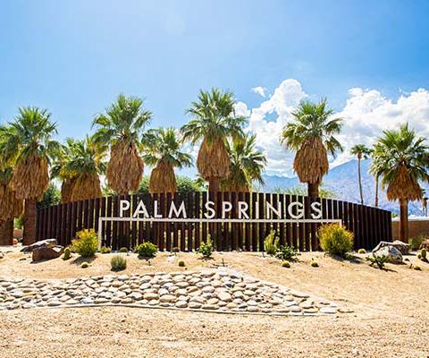 Help clients find their oasis in Greater Palm Springs