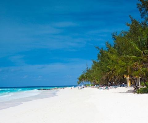 Barbados, oct23, Credit: PublicDomainPictures/Pixabay