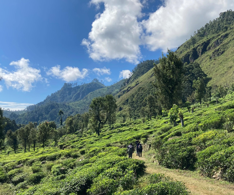 Pekoe Trail Sri Lanka