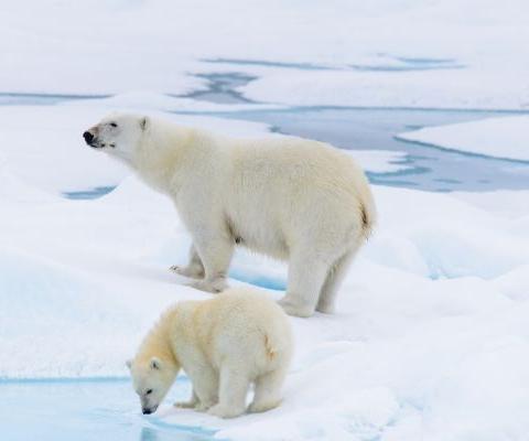 Untitled design (53).jpg