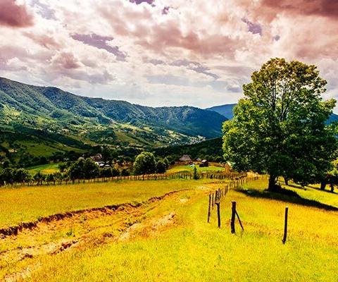 Carpathians, Ukraine