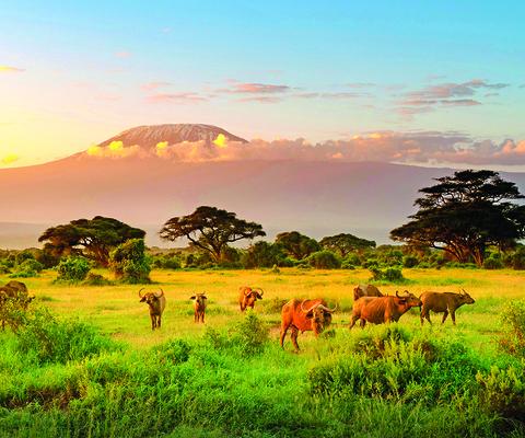 Tui to expand touring and multi-centre options for 2025