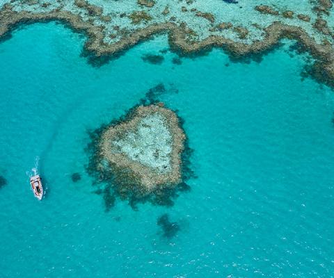 Heart Reef
