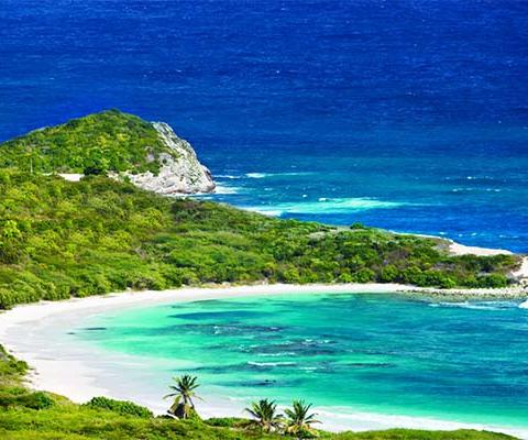 The resort will be located at Half Moon Bay