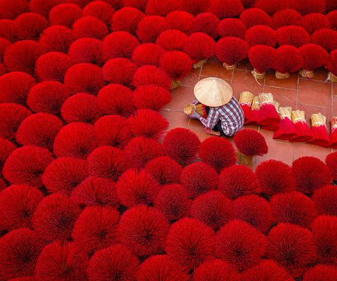 Drying Incense sticks in Hanoi, Vietnam 