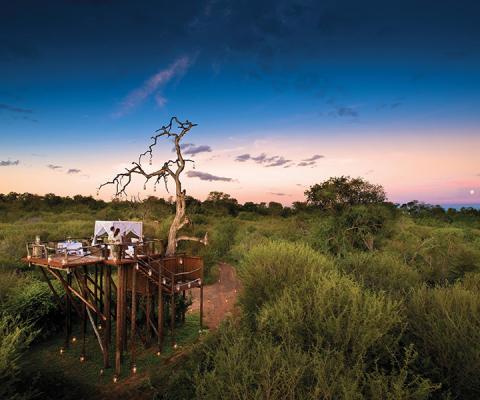 Chalkley Treehouse © Azure Collection