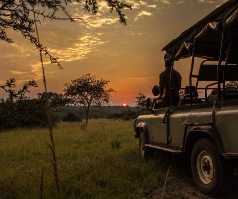 Night_game_drive_-_Uganda.jpg