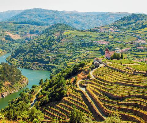 OPO_Alto_Douro_wine_region_517197377_Getty_1123_01_RGB-136-D.jpg