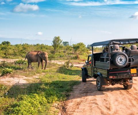 Mahlatini launches Sri Lanka product