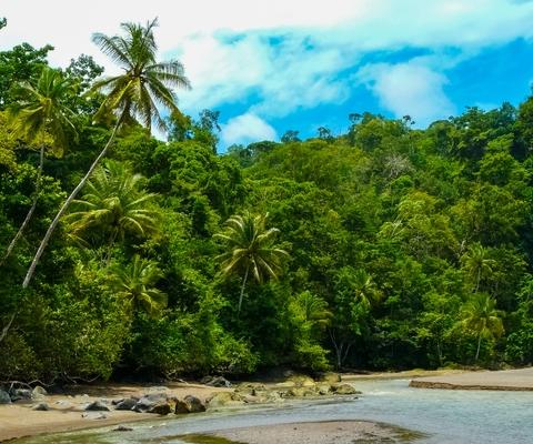 Osa Peninsula Costa Rica April 2024.jpg