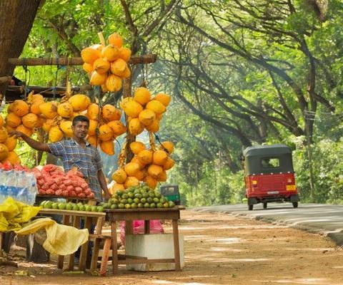 Sri_Lanka_iStock-503048318.jpg