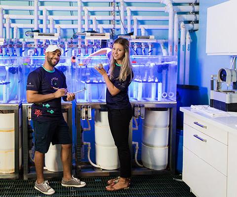 Iberostar’s Wave of Change programme supports coral nurseries