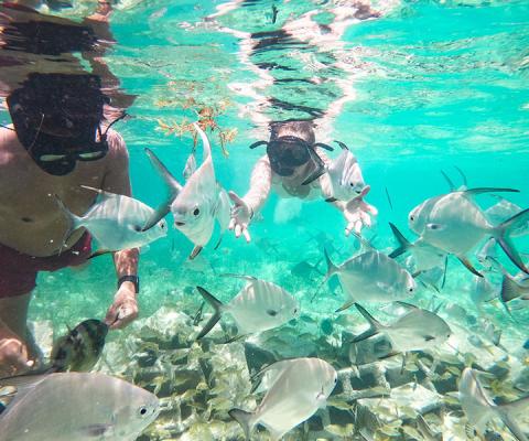 TUI Sea the Change Dominican Republic