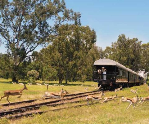 Mundy_Cruising_rail__web