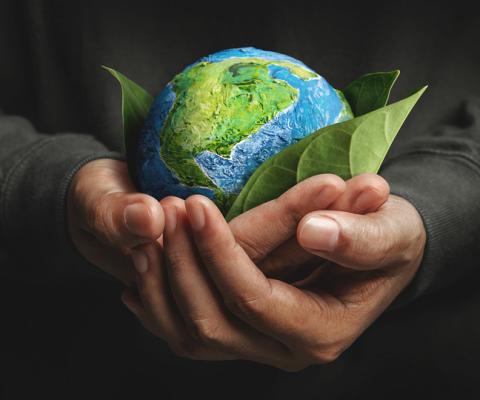 TTG Sustainable Travel Heroes survey Jan 25