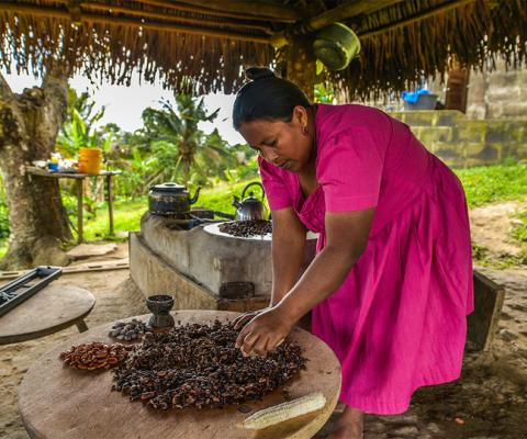 Six immersive experiences in ‘the world’s leading sustainable destination’