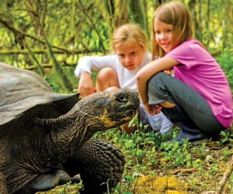 Two additional Galápagos ships and an unrivalled heritage: introducing National Geographic-Lindblad Expeditions