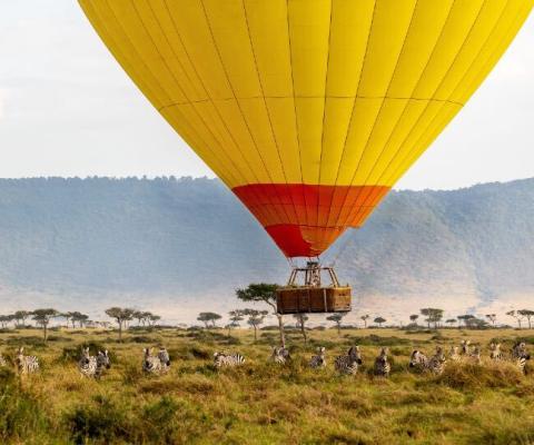 Captains_Choice_destination