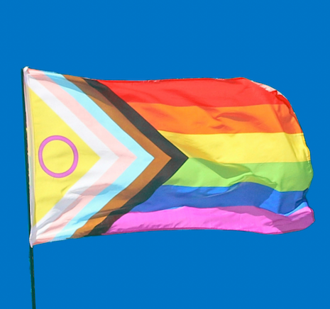 Pride flag trans inclusive